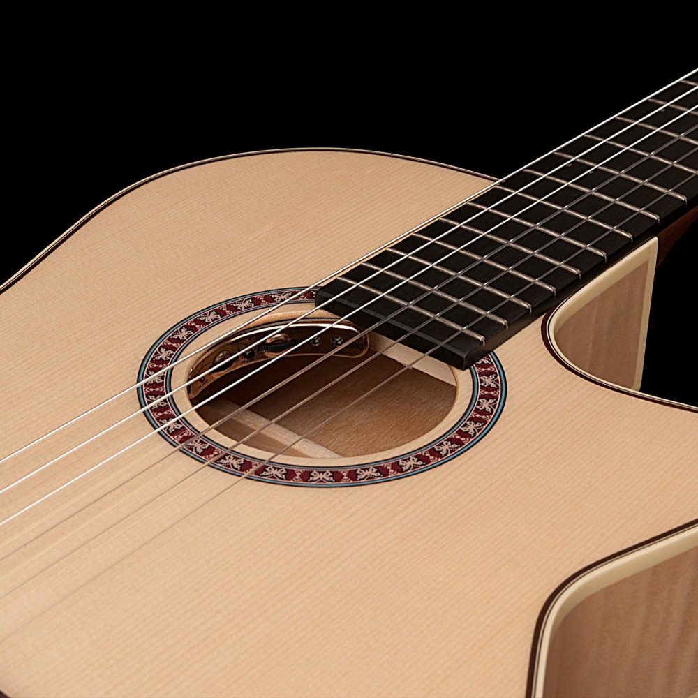 Godin Arena,Flame Maple CW EQ