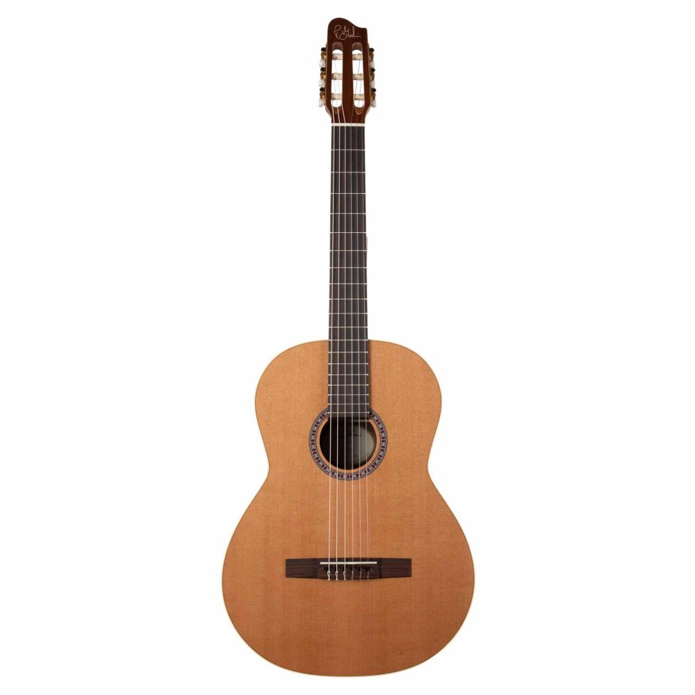 Godin Collection