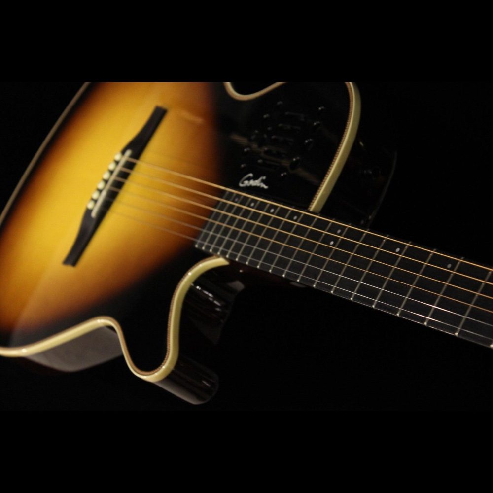 Godin Multiac,Steel Duet Ambiance