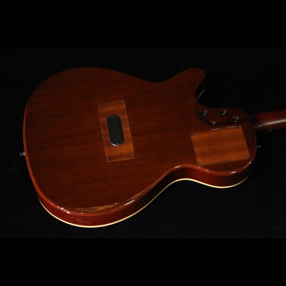 Godin Multiac,Steel Duet Ambiance