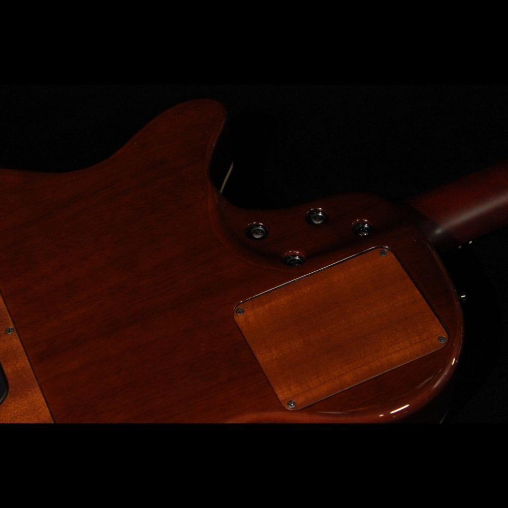 Godin Multiac,Steel Duet Ambiance