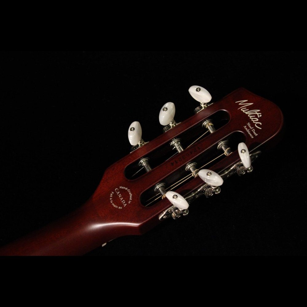 Godin Multiac,Steel Duet Ambiance