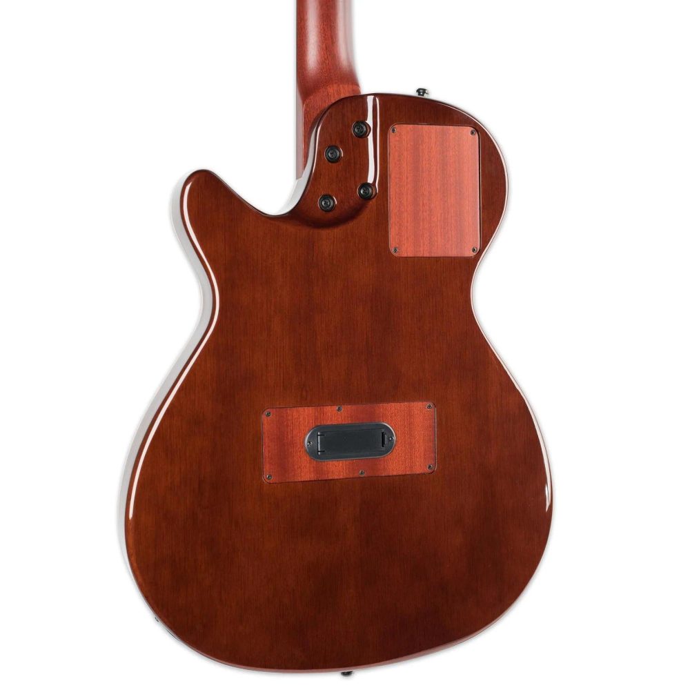 Godin Multiac,Steel Duet Ambiance