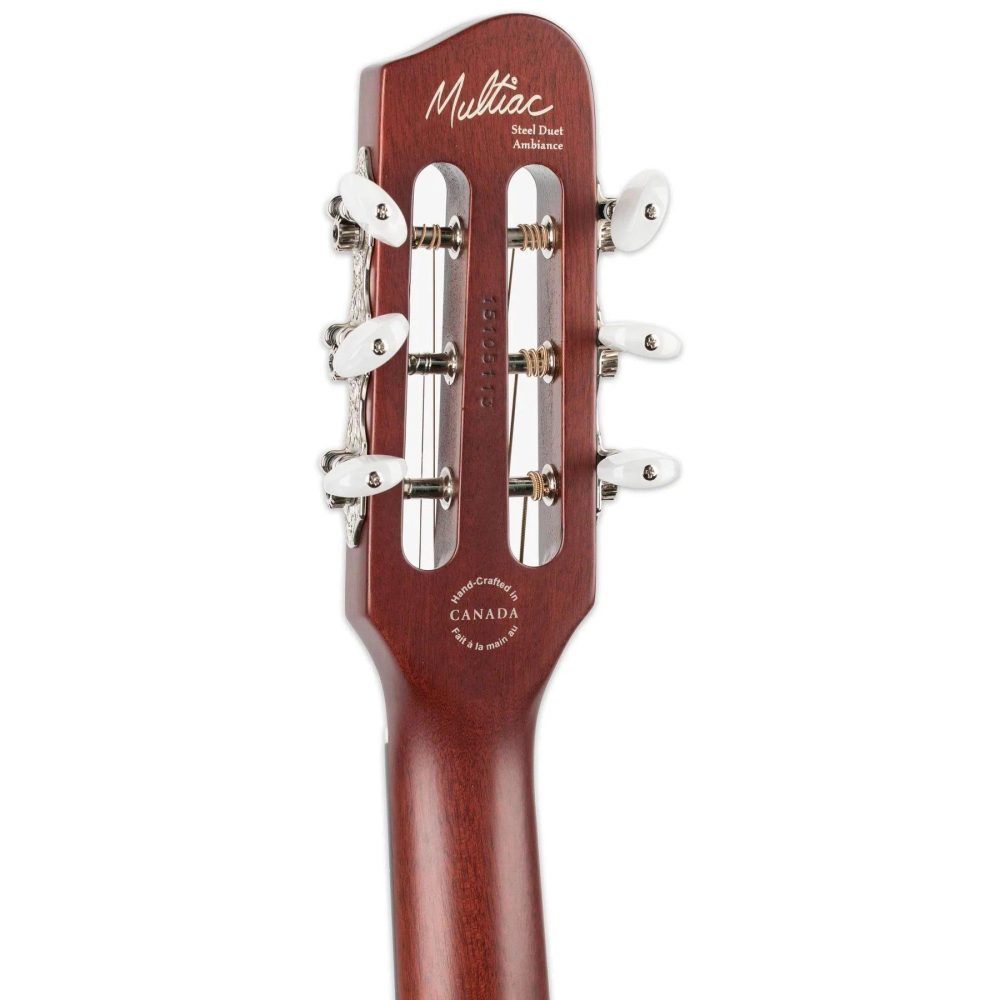 Godin Multiac,Steel Duet Ambiance