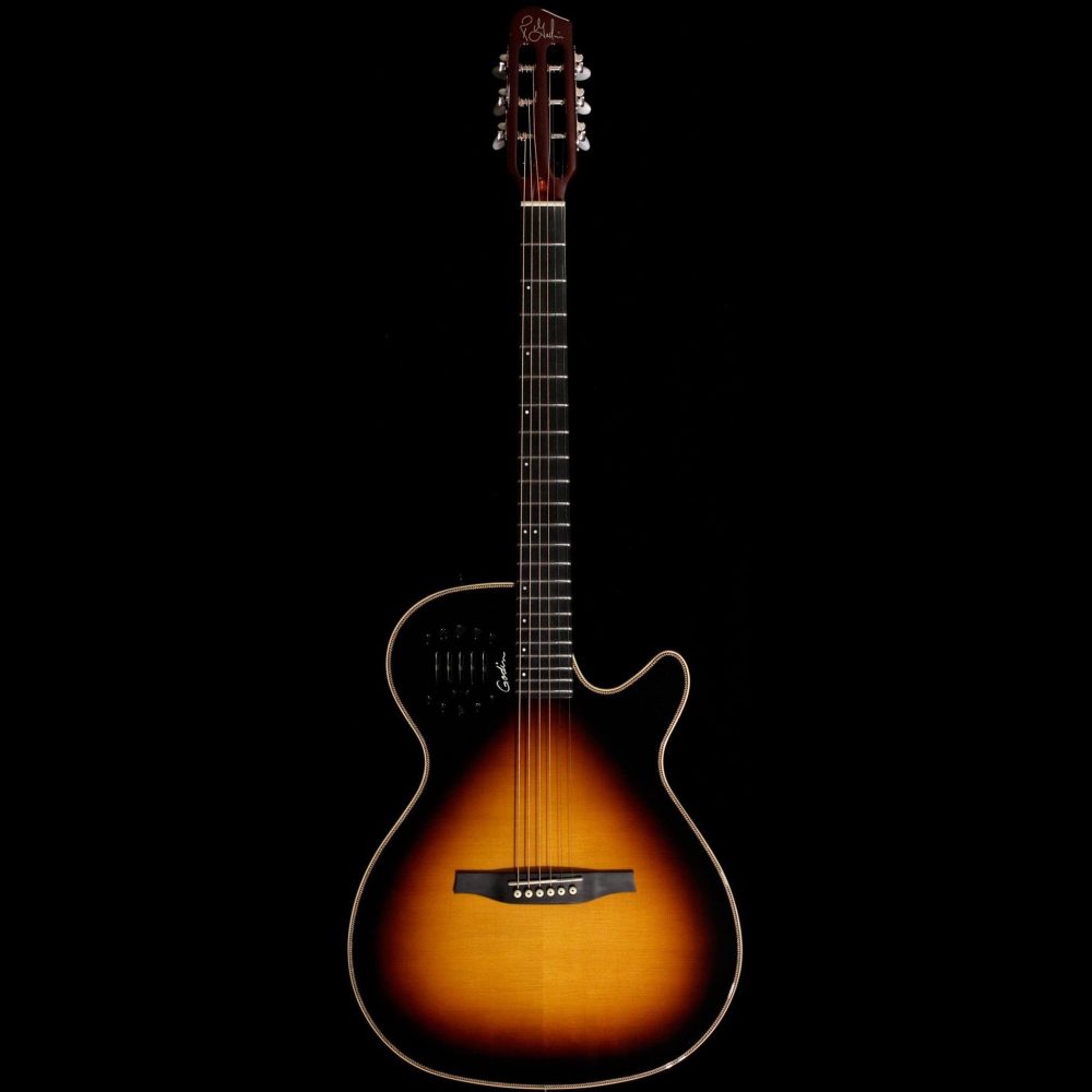 Godin Multiac,Steel Duet Ambiance