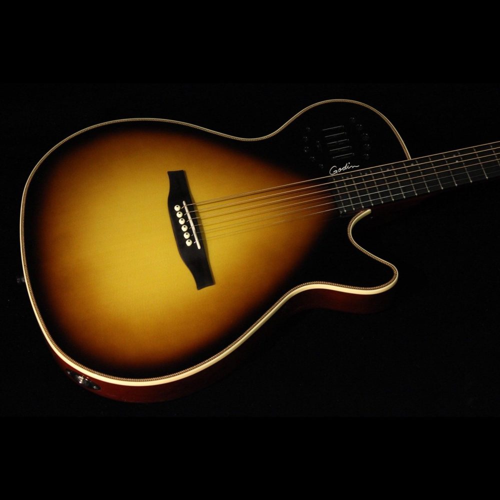 Godin Multiac,Steel Duet Ambiance