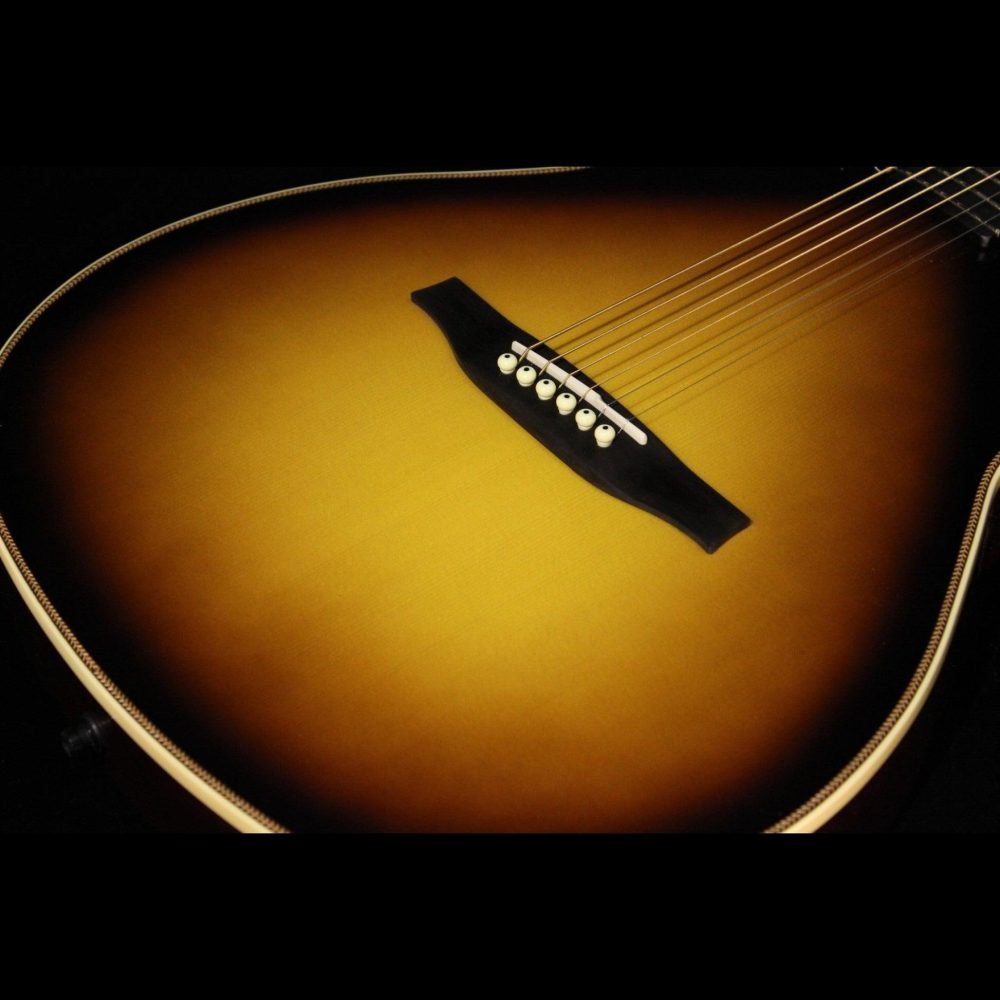 Godin Multiac,Steel Duet Ambiance