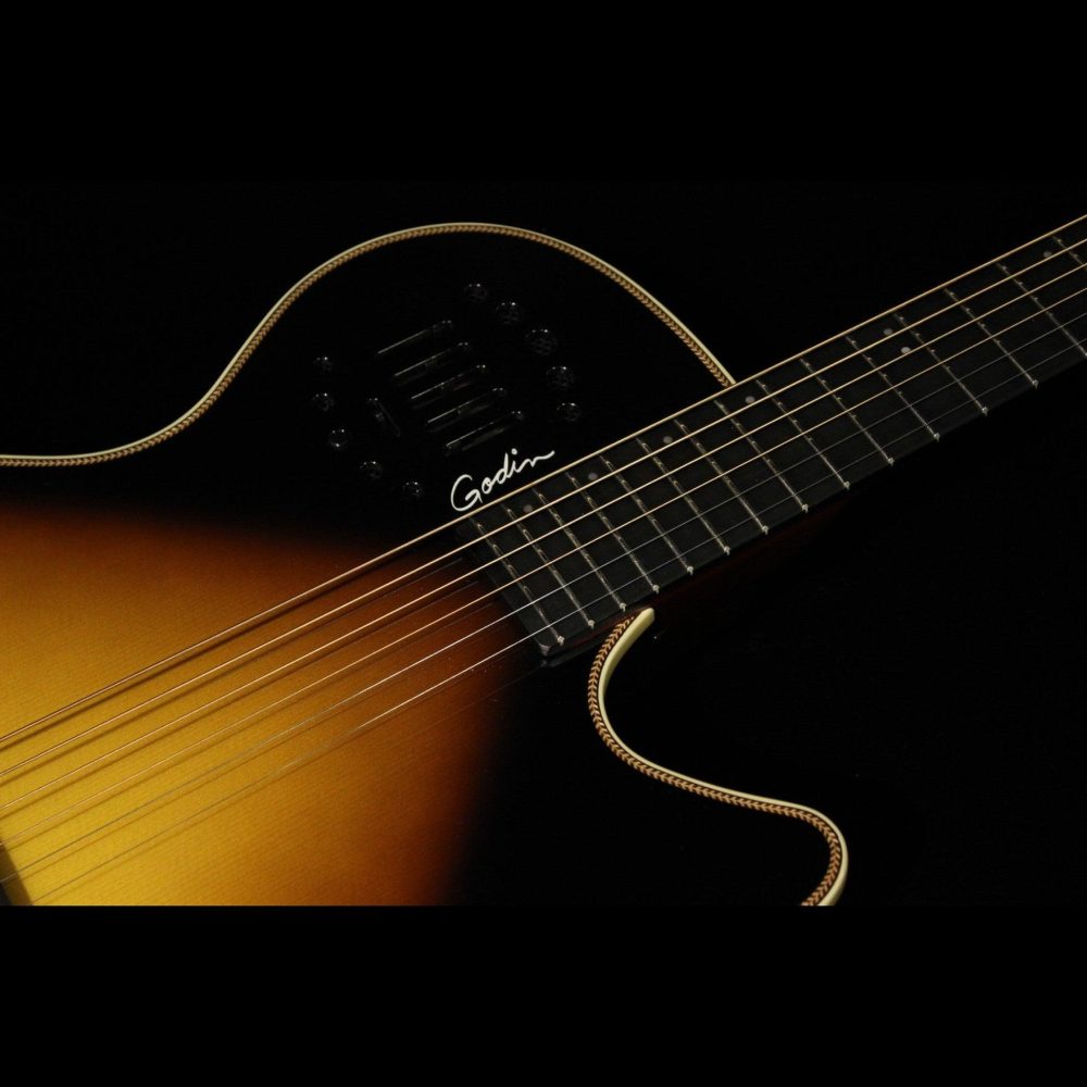 Godin Multiac,Steel Duet Ambiance