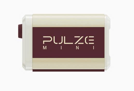 Amp Bỏ Túi Hotone Pulze Mini